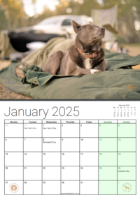 2024-09-30 17_10_59-2025CWKCalendar-output-output-output-output (7).pdf.png Thumbnail