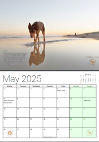 2024-09-30 17_11_53-2025CWKCalendar-output-output-output-output (7).pdf.png Thumbnail