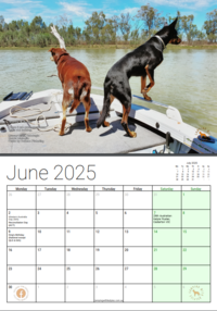 2024-09-30 17_12_08-2025CWKCalendar-output-output-output-output (7).pdf.png Thumbnail