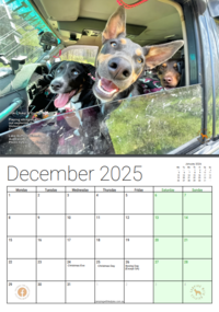 2024-09-30 17_13_55-2025CWKCalendar-output-output-output-output (7).pdf.png Thumbnail