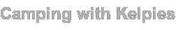 CampingWithKelpies